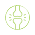 Chilli-powder-icon-02
